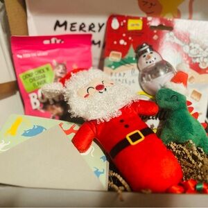 Festive Red Santa Cat Toy